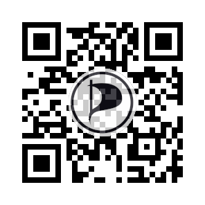 qr-navyk